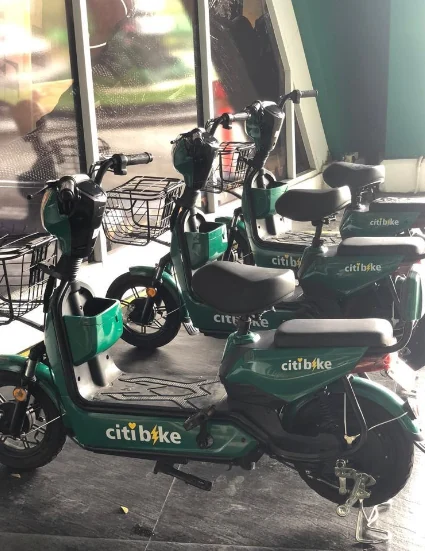 Pemasangan Visual Citibike